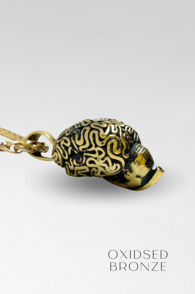 Collar de cerebro