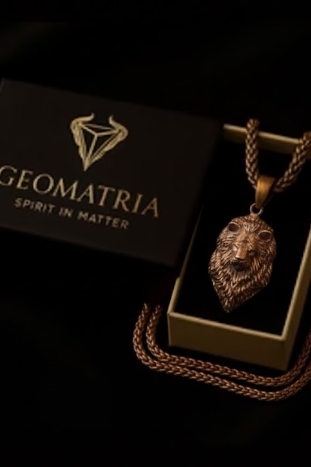 a pendant necklace with a lion's head pendant, displayed in a box with a gold chain.