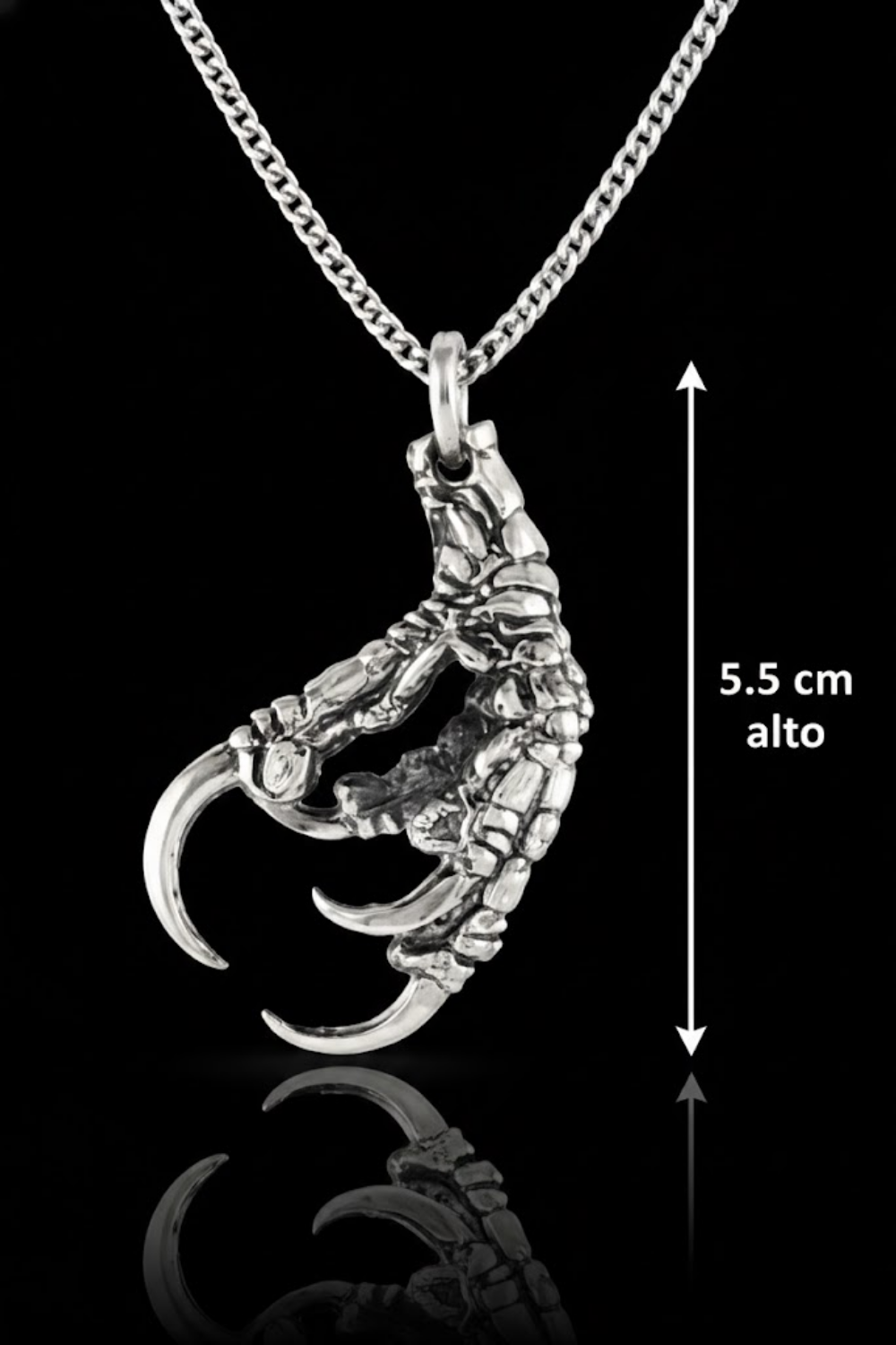 Raven Claw Necklace – Bronze & Silver-Plated Finish | Limited Edition