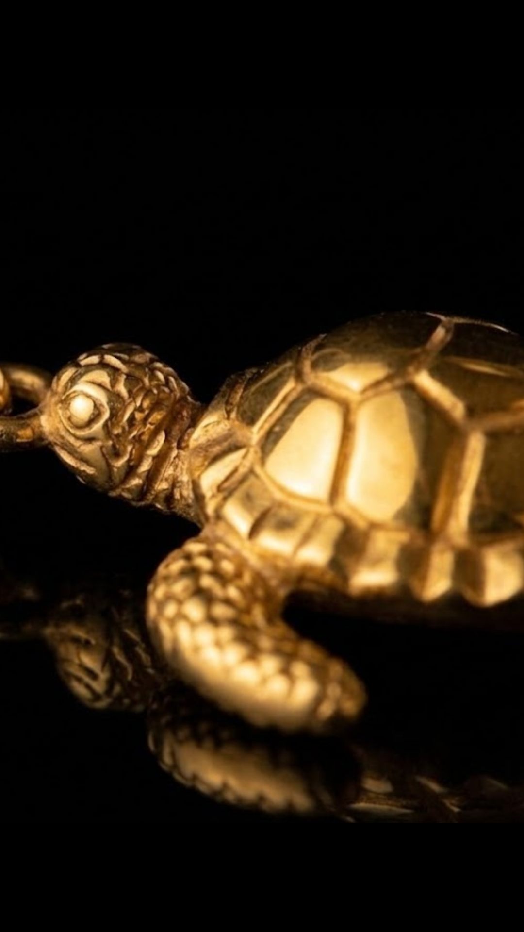 Collar de Tortuga | Hecho a mano en oro de 18K | Símbolo de sabiduría, longevidad y protección