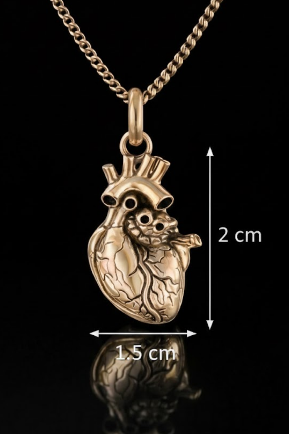Anatomical Heart Necklace – Bronze & Silver-Plated Finish | Limited Edition