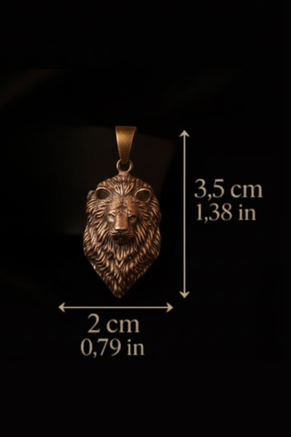 A pendant in the shape of a lion's head, with dimensions provided in centimeters.