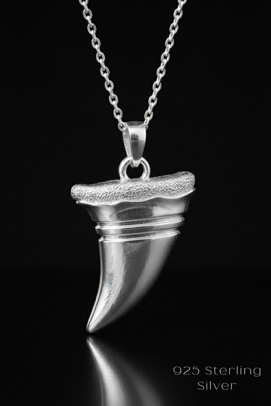 A silver pendant necklace with a silver-colored pendant against a black background.