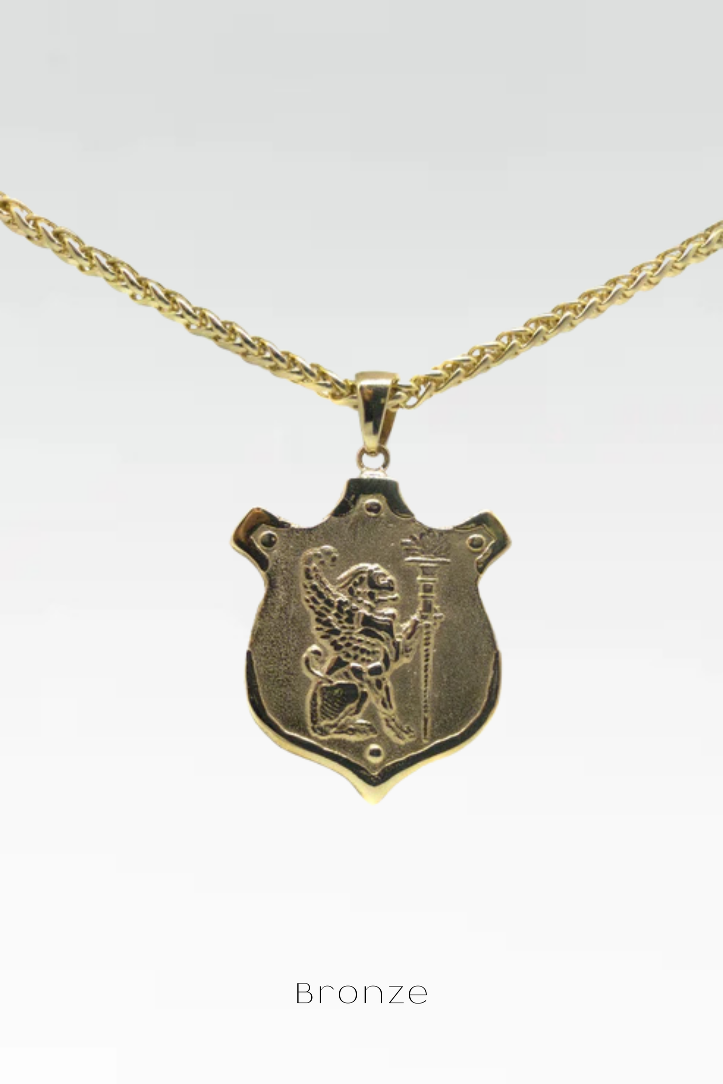 Collar de león, collar personalizado, bronce, plata esterlina, collar de oro de 24 km, collar de escudo