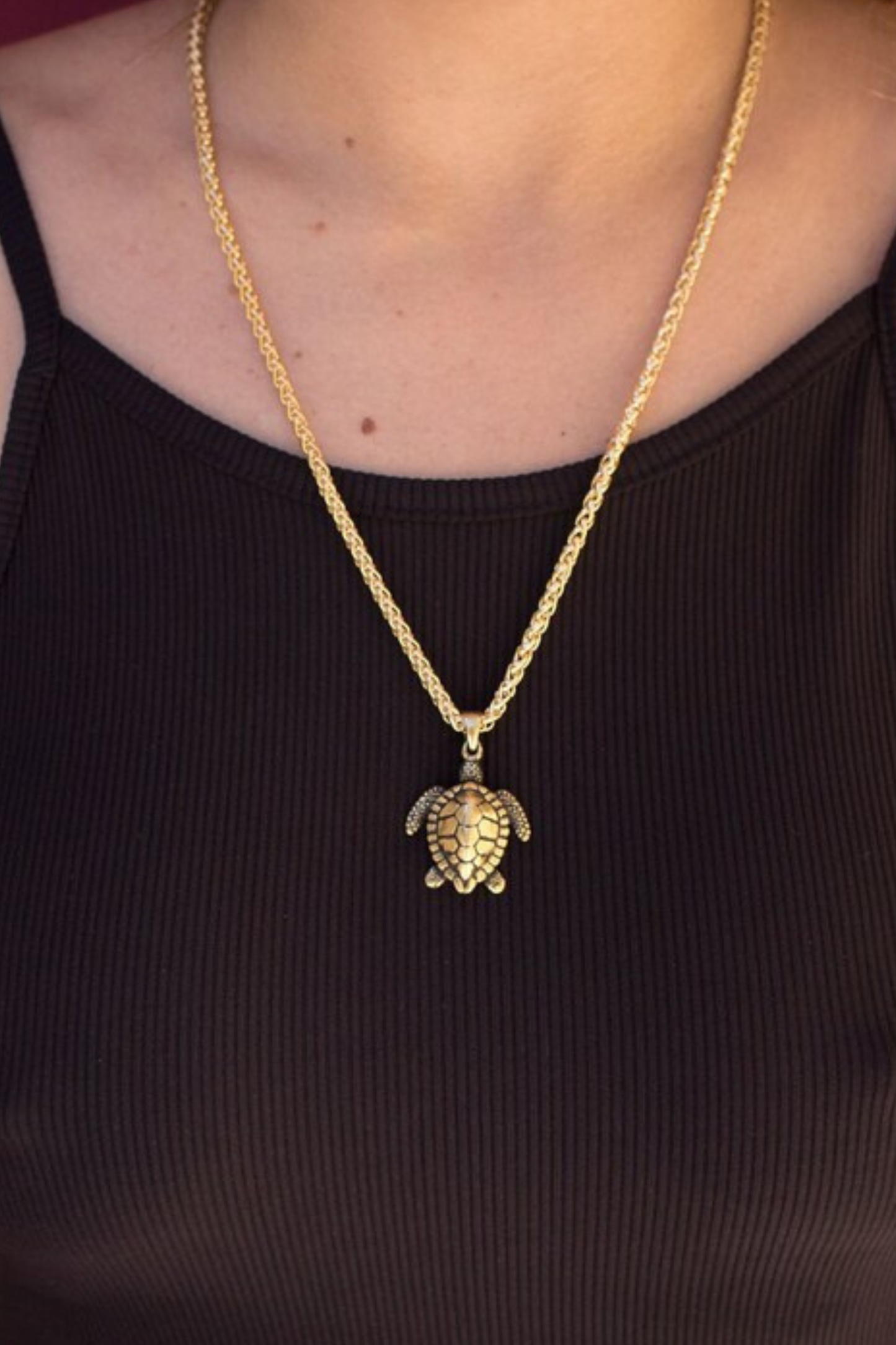 Collar de tortuga