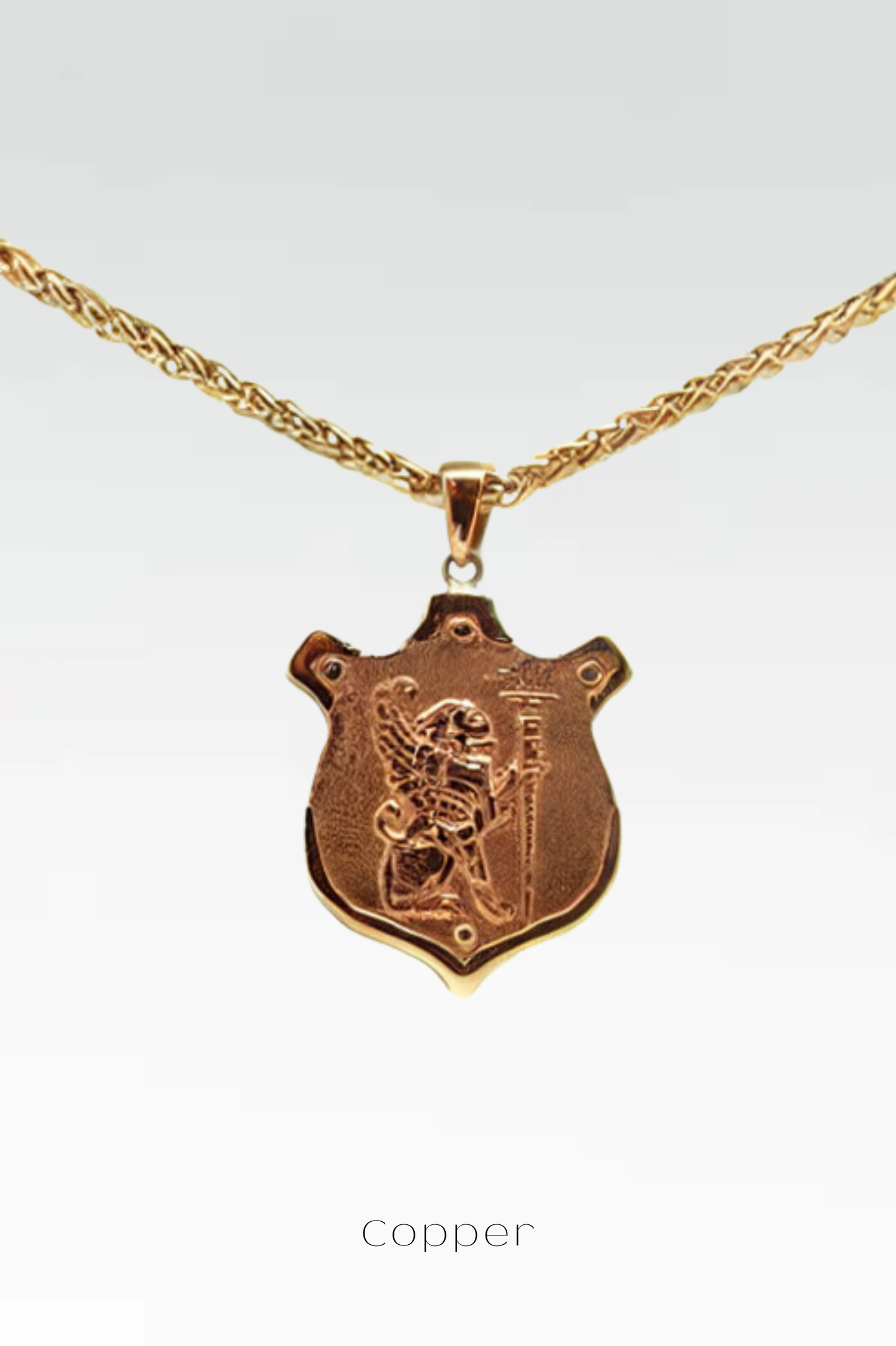 Collar de león, collar personalizado, bronce, plata esterlina, collar de oro de 24 km, collar de escudo