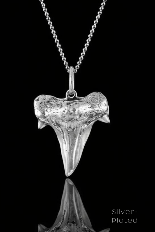 Shark Tooth Necklace – Bronze & Silver-Plated Finish | Limited Edition