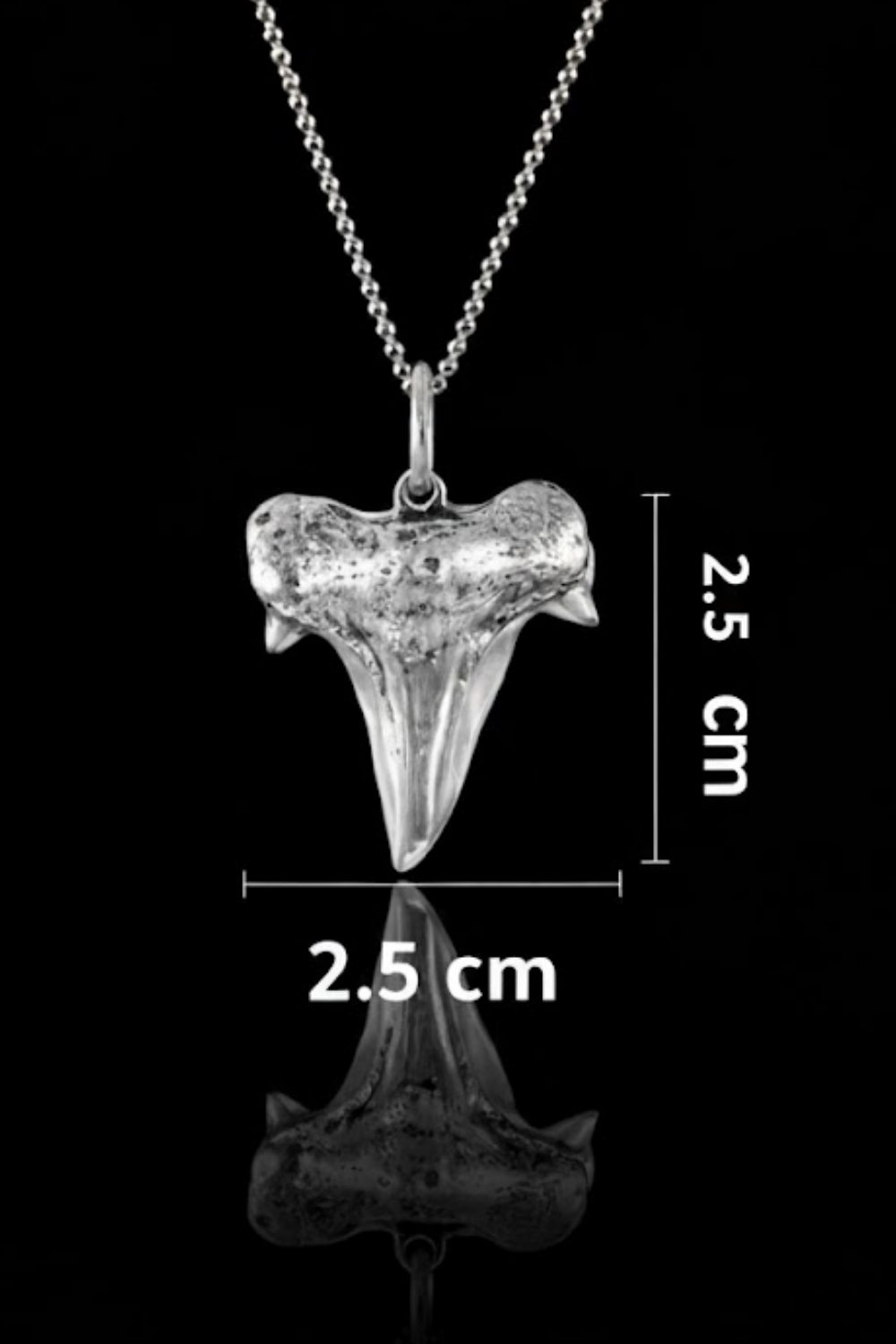 Shark Tooth Necklace – Bronze & Silver-Plated Finish | Limited Edition