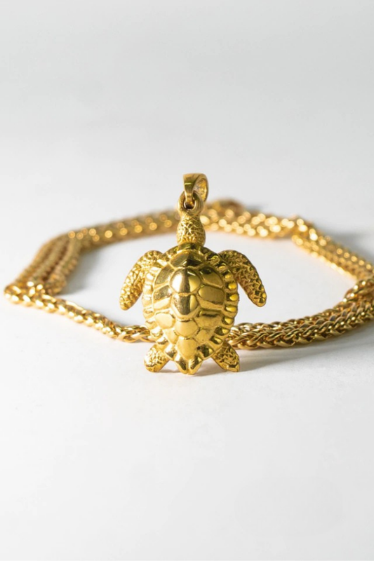Collar de tortuga