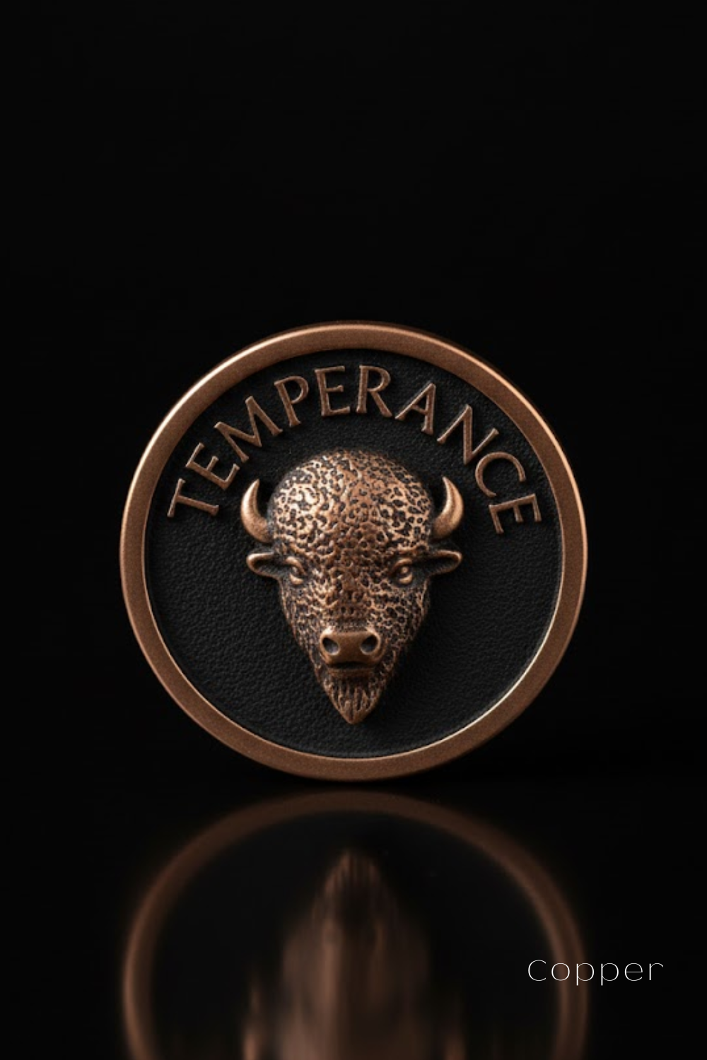 A close-up of a bronze-colored buffalo head on a black circular background, with the word "TEMPERANCE" inscribed around the edge.