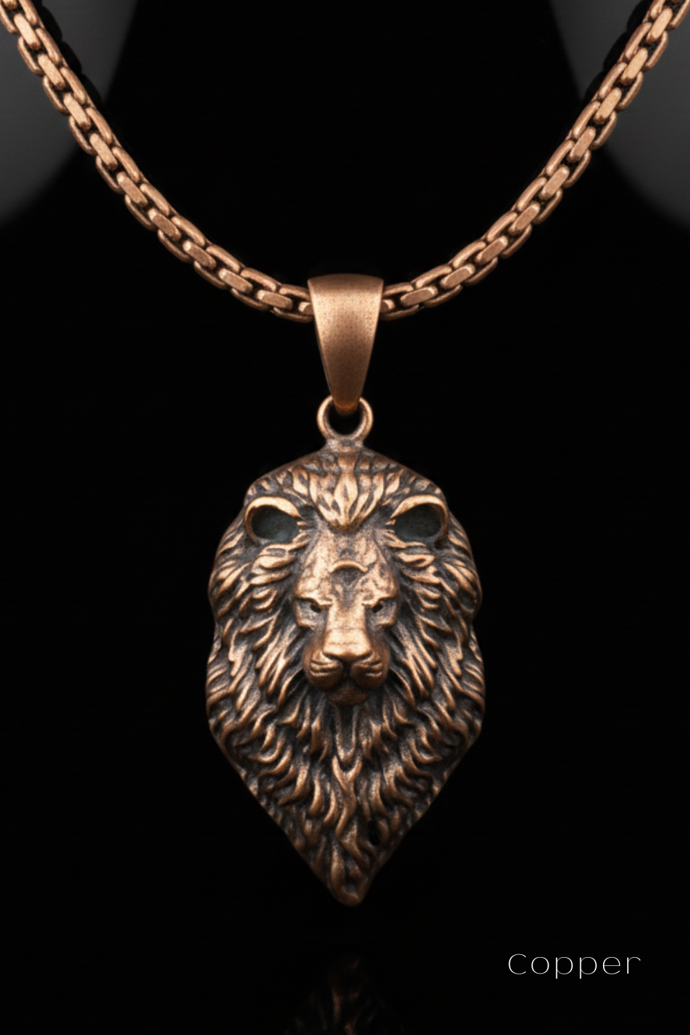A close-up image of a pendant featuring a detailed lion's head design, suspended from a chain.