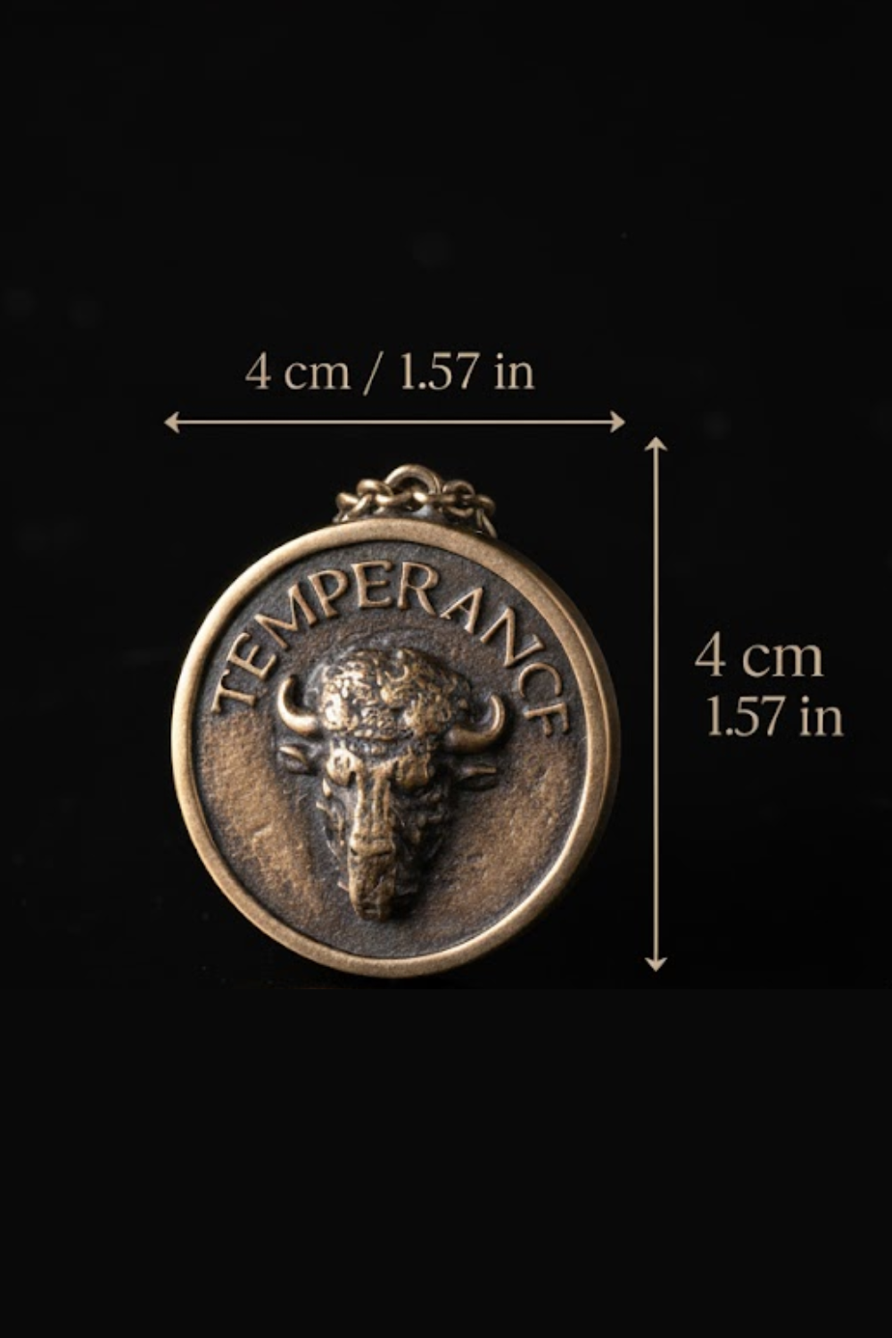 a large bronze pendant with the word "TEMPERANCE" inscribed on it. The pendant is described as being 4 cm in diameter and 1.57 cm in height.