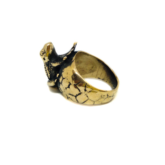 Anillo de rana, anillo personalizable, bronce, plata esterlina, joyas de oro, joyas de rana, joyas de rana